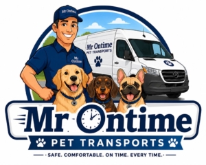 Mr On Time Pet Transportation